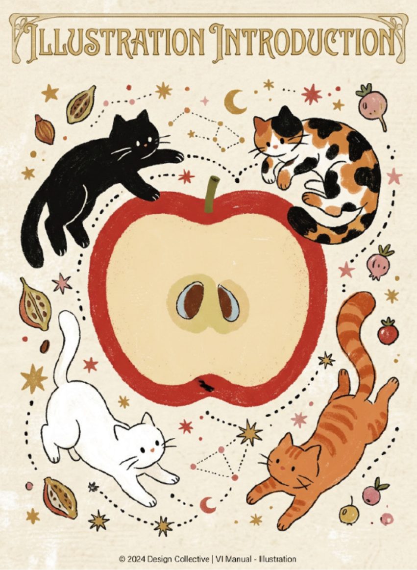 Illustration Introduction